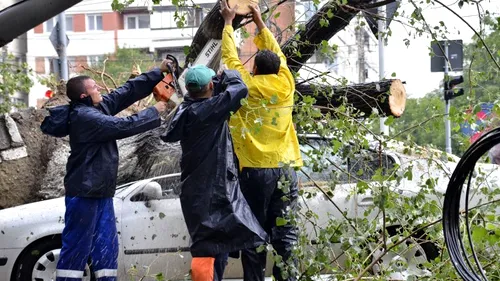 Mașini avariate, copaci dărâmați și terase devastate, în urma unei furtuni în Mamaia