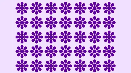 Iluzie optică virală | Una dintre aceste 35 de flori este diferită de celelalte. Găsiți-o în maximum 8 secunde!
