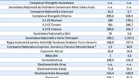 CALENDARUL DISPONIBILIZĂRILOR. Un salariat din cinci va fi dat afară de la companiile din subordinea Ministerului Economiei. Cel mai mare val de concedieri - anul acesta
