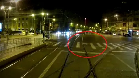 A murit vulpea care a traversat strada în Capitală, după ce a fost lovită de o mașină: „Toate argumentele ar duce către concluzia că ar fi acelaşi animal”