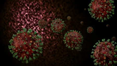Vaccinurile anti-COVID ar putea fi ineficiente în fața noilor mutații din Africa de Sud și Brazilia