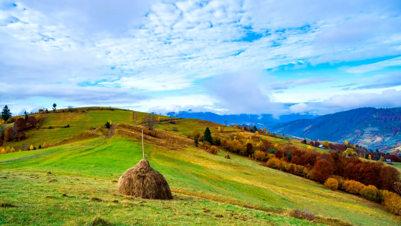 Satul din România cumpărat, în întregime, la prețul unui apartament! Are un singur locuitor