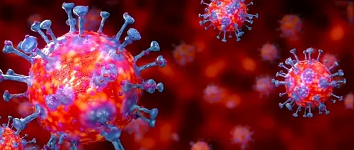 IPOTEZĂ cumplită: virusul devine mai agresiv pe măsură ce trece de la om la altul. Ce spune managerul Spitalului de Boli Infecţioase de la Iași