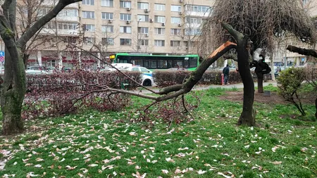 UPDATE: FOTO | Vântul puternic a făcut RAVAGII în Capitală: 39 de mașini au fost avariate, 57 de copaci s-au rupt, iar șase stâlpi au fost dărâmați