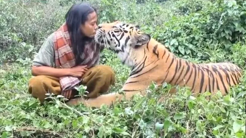 Adevăratul Shere Khan. Cum arată prietenia dintre un indonezian și un tigru bengalez