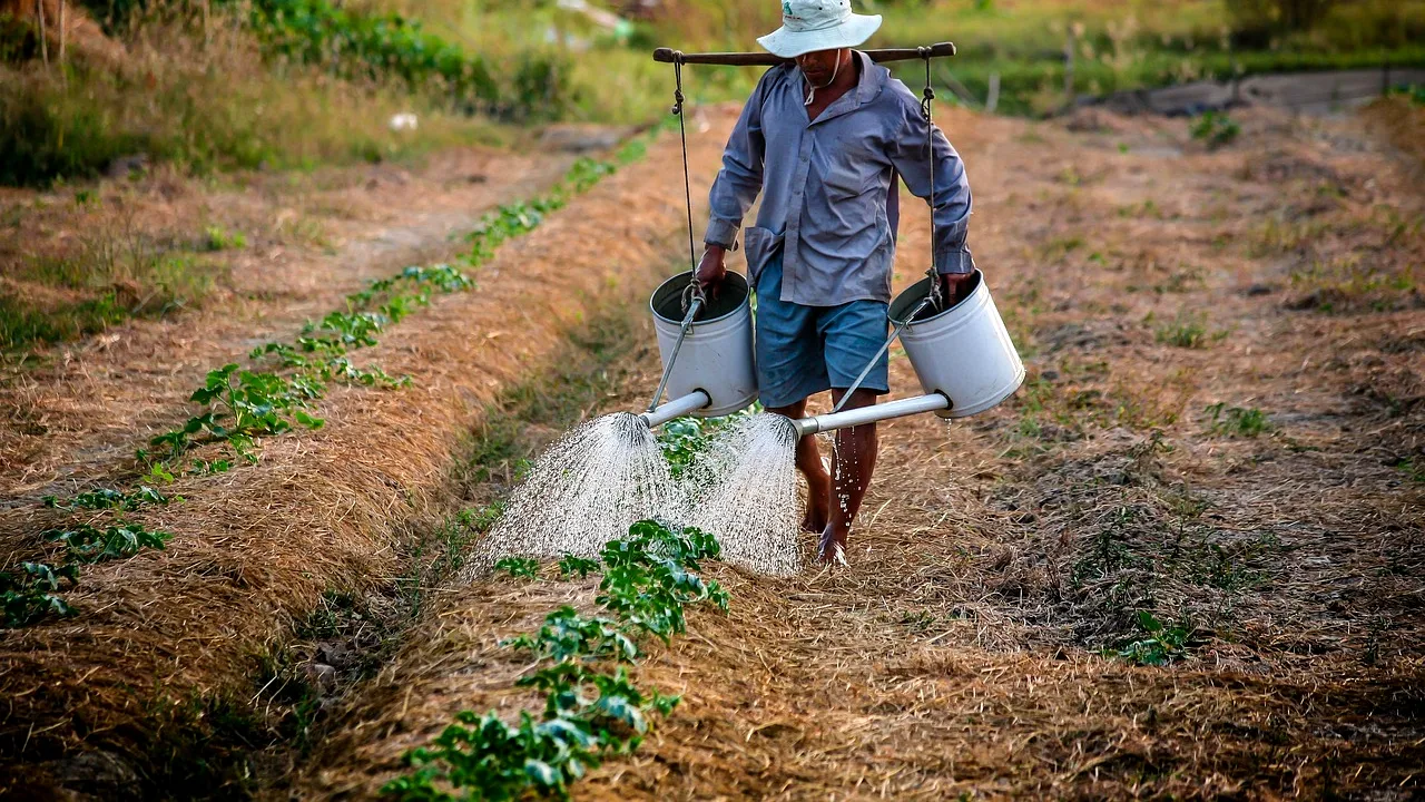 Muncitor român din Italia, DESPĂGUBIT cu 50.000 de euro. Acesta a fost exploatat, apoi concediat de angajator