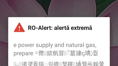 Un bărbat din Cluj a primit mesaj Ro-Alert de furtună în limba chineză. Ce scria, de fapt