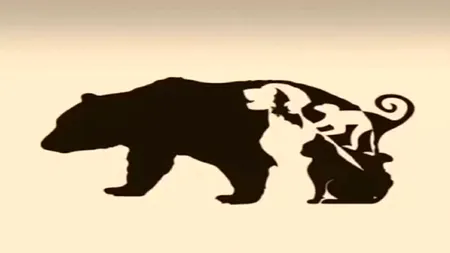 TEST de inteligență | Câte animale sunt, în total, în această poză?