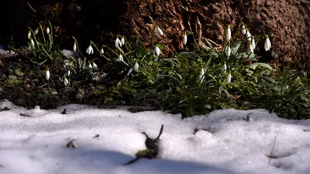 Vremea la extreme în România: Zonele în care temperatura va ajunge la 20 de grade în câteva zile, după ce duminică au fost și minus 16 grade