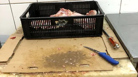 Sute de kilograme de carne ținute într-o mizerie cruntă și ustensile ruginite, la o carmangerie din Constanța. GALERIE FOTO