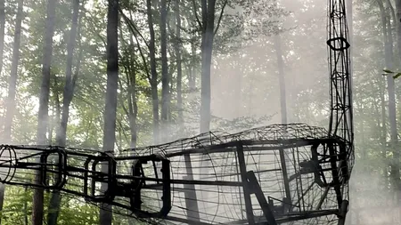 INCENDIU puternic la Dino Parc Râşnov. Flăcările au distrus macheta unui dinozaur de zece metri