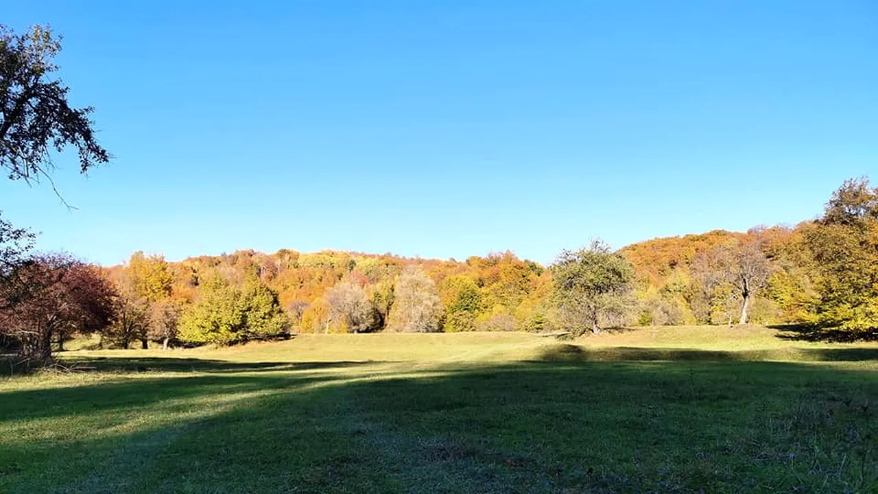 Stațiunea din România, aflată la doar 3 ore de București, renumită pentru aerul său curat. Nu degeaba i se spunea „Plămânul de oțel al regiunii”