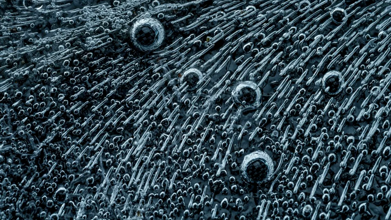 Curtea de Justiţie a UE: Statele membre pot, în anumite condiţii, să interzică cultivarea organismelor modificate genetic