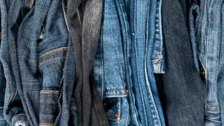 Blugii, pe cale de dispariție. Decizia anunțată de Bruxelles