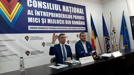 DOMENII CU MIZĂ ÎN VREME DE CRIZĂ. Antreprenor: „Numai din turism sau din agricultură România ar putea să se ridice suficient de mult”