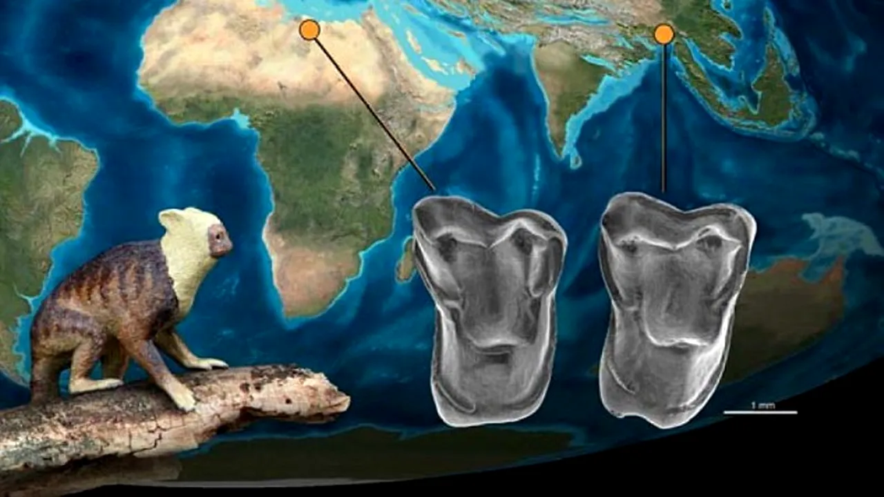 Descoperirea care ar putea schimba tot ce știm despre evoluția omului