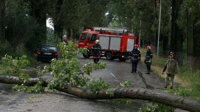 Trafic îngreunat pe drumuri naționale din Brăila și Constanța. Mai mulți copaci au fost doborâți de vânt