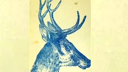 Iluzie optică virală | Ești un geniu dacă poți vedea iepurele 