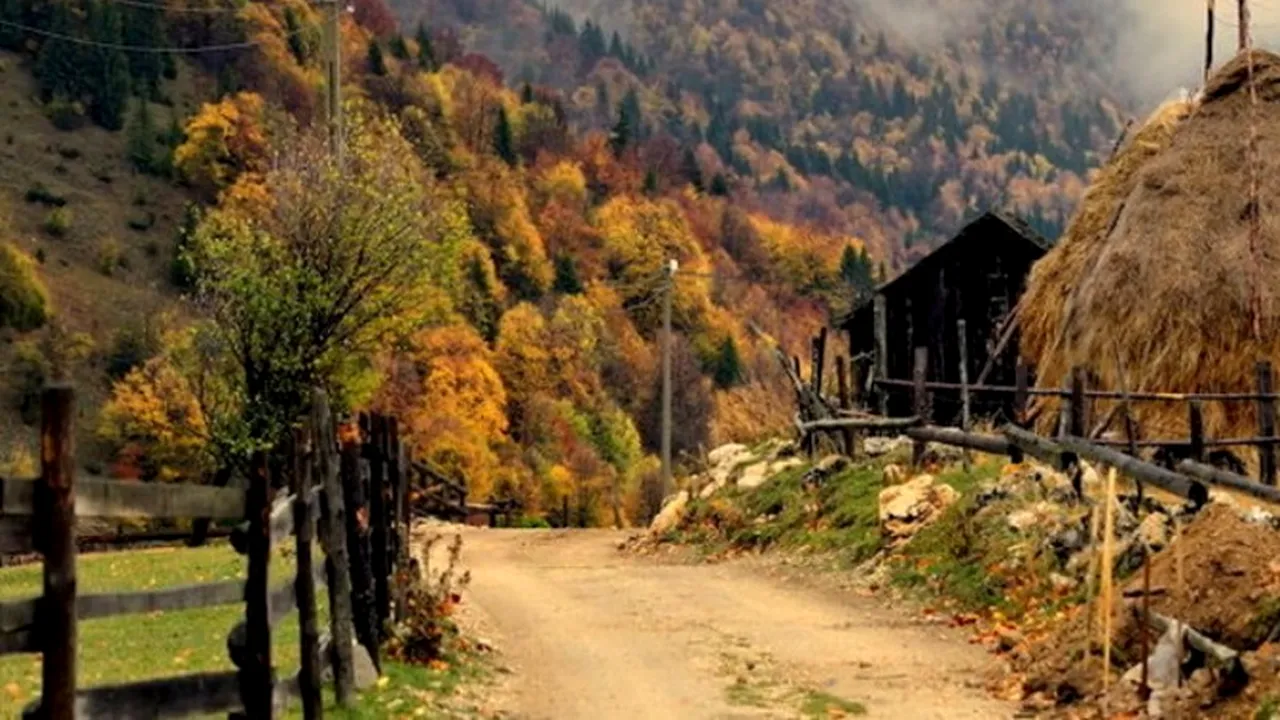 Cinci drumuri magice pe care poți evada cu mașina