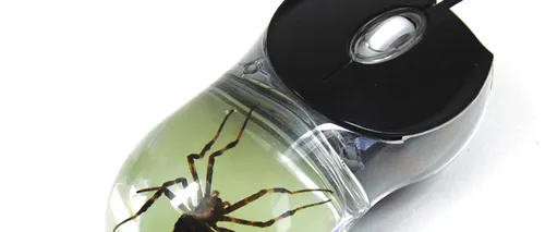 Nerecomandat pentru arahnofobi: Acest mouse are un păianjen real conservat în el