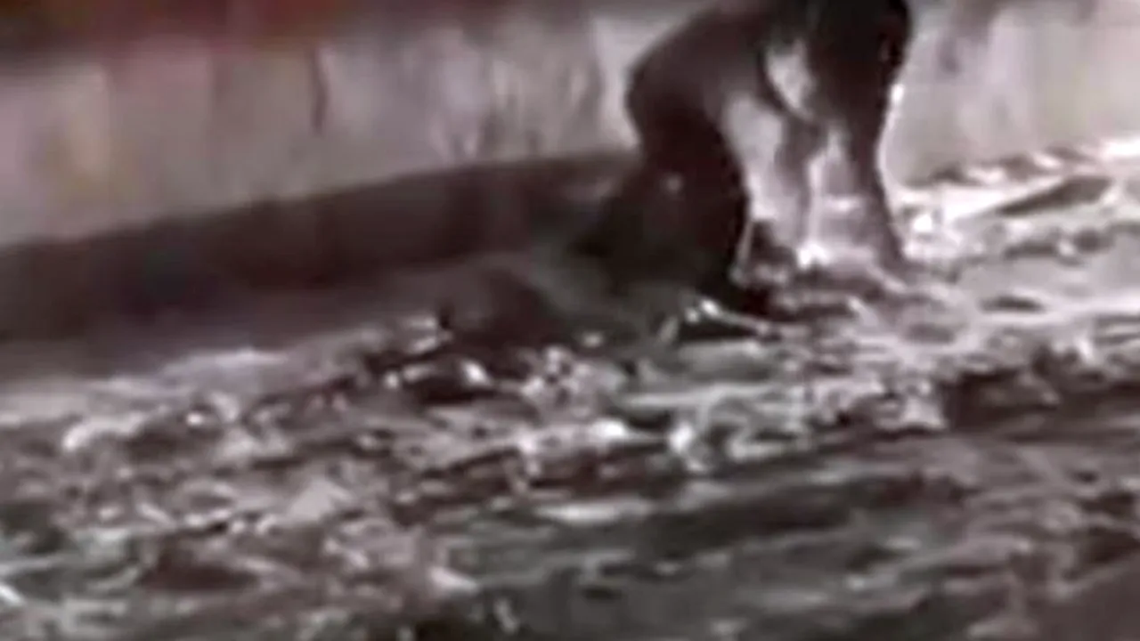 UCIS cu 11 lovituri de CUȚIT. Autorii omorului de la Mediaș, recent ELIBERAȚI din pușcărie