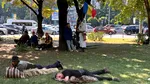 Ciobanii din Vaslui, care au fost la protestele de la București, s-au trezit cu mascații la ușă. Anchetatorii îi acuză că au bătut jandarmii