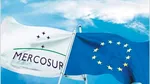 Curtea de Justiție a Uniunii Europene a respins cererea Poloniei de suspendare temporară a aplicării acordului cu blocul Mercosur. Ce argumente aduce instanța de la Luxemburg