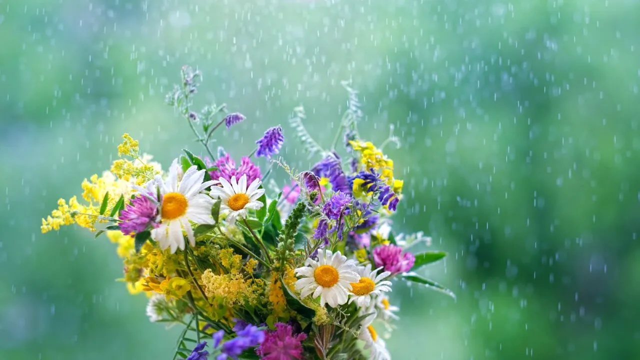 Vreme EXTREMĂ în România! Cod roșu de caniculă, dar și ploi torențiale în mai multe județe. Harta zonelor afectate