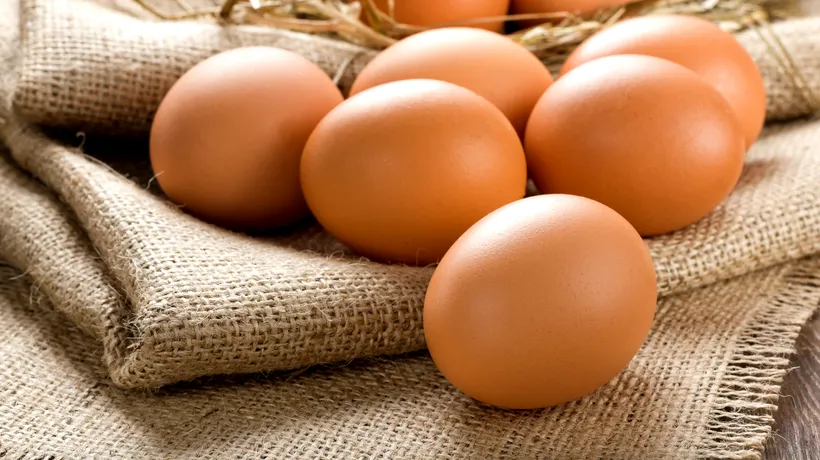 Ouă BIO sau cu omega 3? Medicul Mihaela Bilic explică pe care trebuie să le alegem
