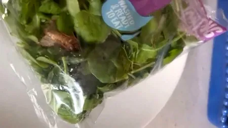 Ce a găsit o clientă într-o pungă cu salată pe care a cumpărat-o din supermarket