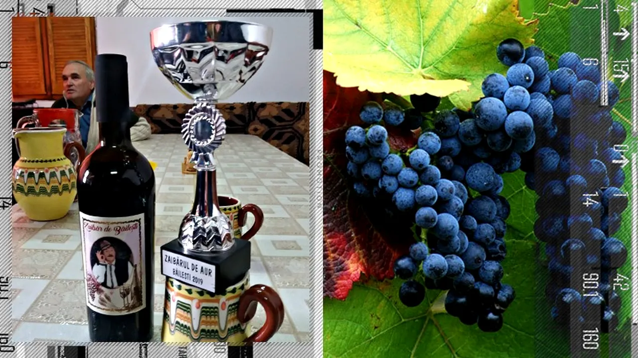 Zaibărul de Băilești, mai puțin dar mai bun în acest an: ”Nea Mărin l-a făcut cunoscut în întreaga lume”