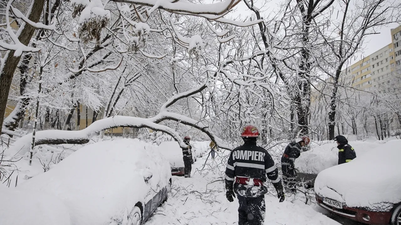 Anunțul primăriei pentru proprietarii mașinilor avariate de copaci căzuți în Sectorul 4