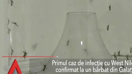 Primul caz de infecție cu West Nile din acest sezon, confirmat la un bărbat din Galați