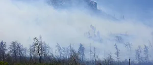 Incendiu URIAȘ în Grecia, la Nord de Atena. MAE a emis alertă de călătorie