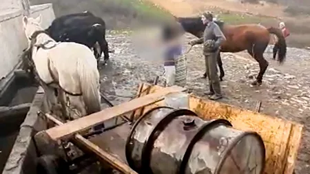 Zeci de familii încremenite în secolul trecut, cu apă de la fosta cișmea otomană, aproape de Constanța: „Cu alegerile astea, poate-poate... De mulți ani sperăm