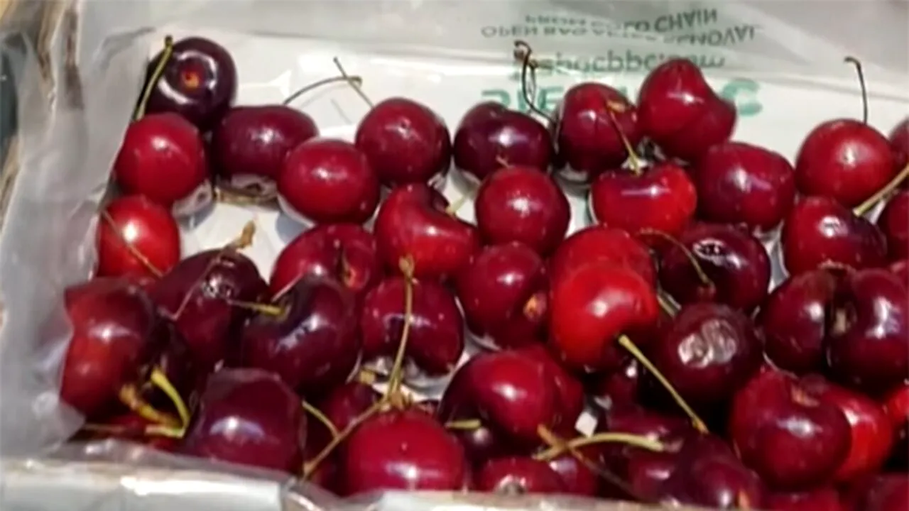 Au apărut primele cireșe din 2025! Cu cât se vinde un kilogram, în Lidl din București