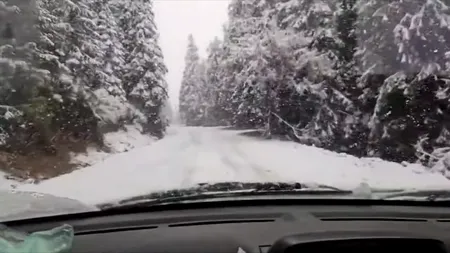 Meteorologii de la Accuweather au anunțat în ce orașe din România va ninge în Ajunul Crăciunului. Cine va avea ZĂPADĂ, în timpul sărbătorilor de iarnă