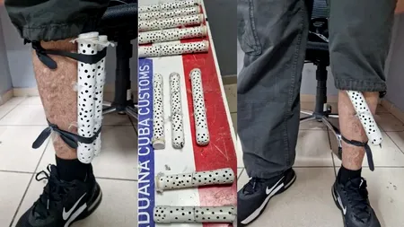 Cum a vrut un bărbat să scoată ilegal din țară 28 de păsări. A fost prins pe aeroportul din Havana