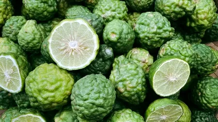BERGAMOTA, fructul care reduce colesterolul. Care sunt pacienții care nu o pot folosi