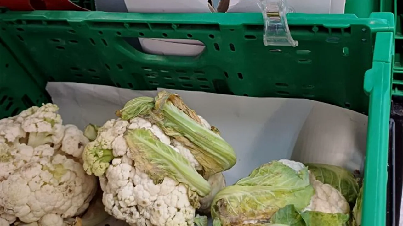 A apărut o nouă LEGUMĂ în supermarket-urile românești: conopidă cu mucegai. Cât costă