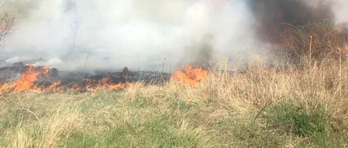 Un pompier din Argeș a murit, în timp ce stingea un incendiu de vegetație izbucnit pe Autostrada 1