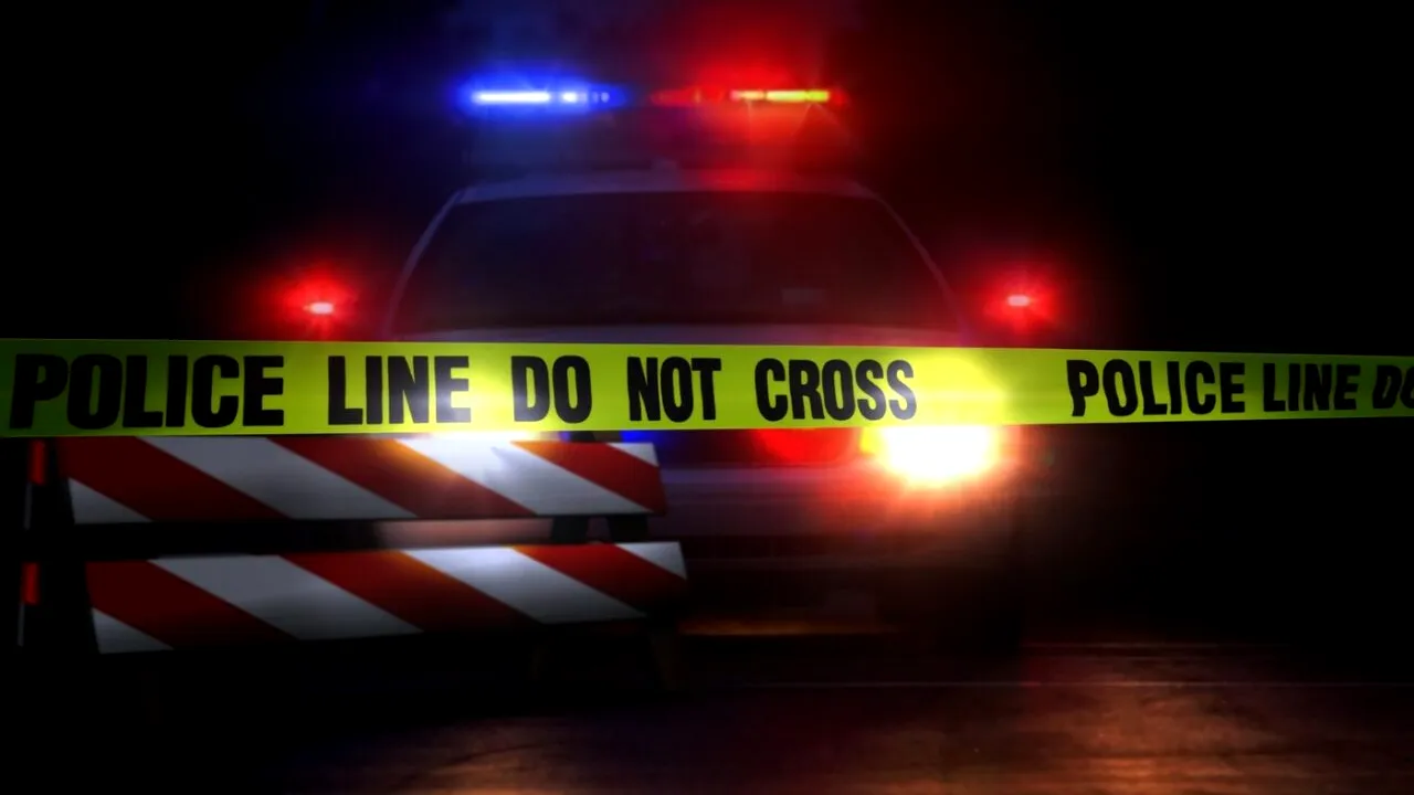 SUA: Trei persoane, printre care un bebeluș, au fost ucise în timpul unui festival