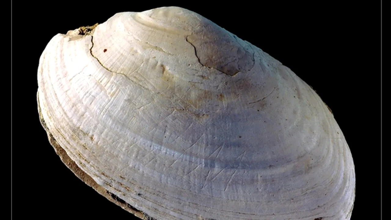 Cercetătorii au descoperit cel mai vechi „doodle