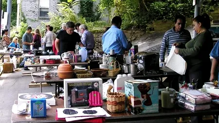 Comoara de 24 de milioane de euro descoperită în acest târg de vechituri din SUA