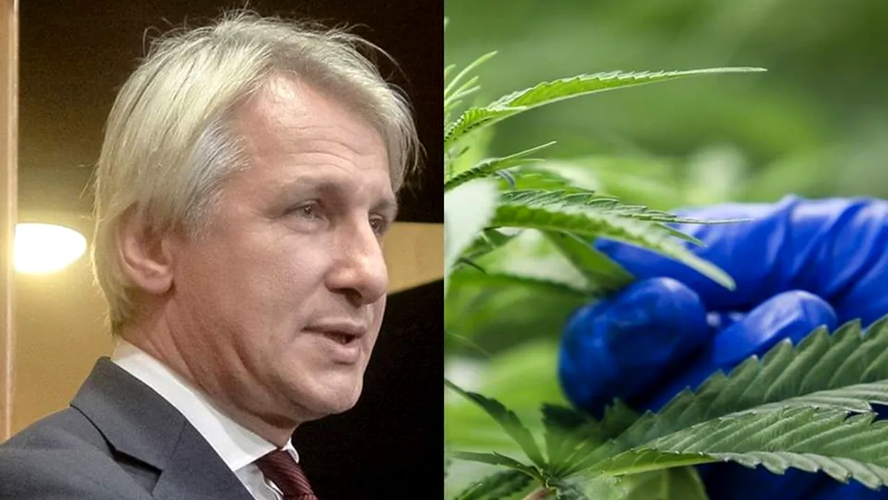 Fost ministru al Sănătății, despre legalizarea canabisului: Nu înțeleg atribuția lui Teodorovici