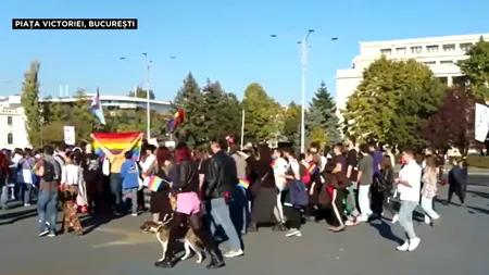 Protest în centrul Capitalei, pentru LEGALIZAREA parteneriatului civil. Partenerii din cupluri de același sex vor DREPTUL la protecție civilă