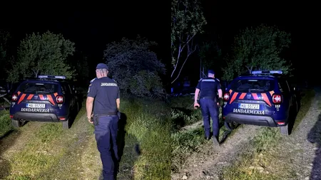 Imagini greu de privit în Călimănești-Vâlcea. Oameni înarmați cu lopeți aleargă un urs rănit în gardul electric