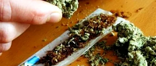 Statul american New York va autoriza folosirea marijuanei în scopuri medicale
