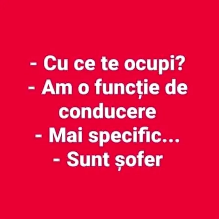 BANCUL ZILEI | Funcție de conducere