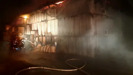 Incendiu puternic la un atelier de mobilă din Timișoara. Zeci de pompieri intervin pentru stingerea flăcărilor, care au cuprins o suprafață de aproximativ 600-700 mp